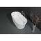 Aqua Eden 59.81 L, 28.56 W, Glossy White/Matte White, Solid Surface White Stone VRTDE612922 - alternate 4